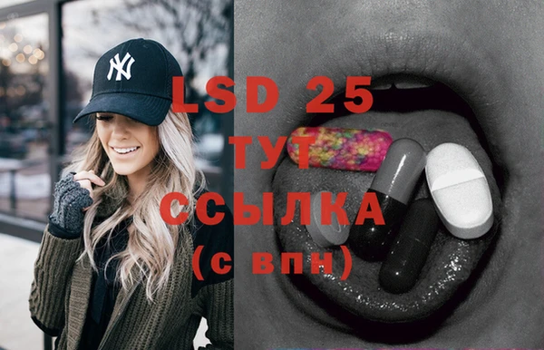 apvp Няндома