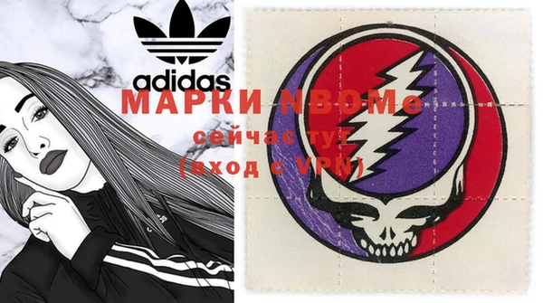 apvp Няндома