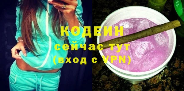 apvp Няндома