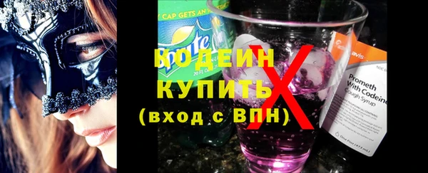 apvp Няндома