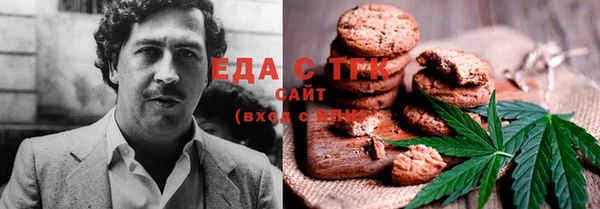 стаф Осинники
