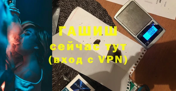 стаф Осинники