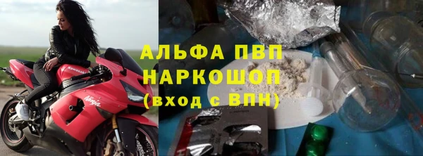 стаф Осинники