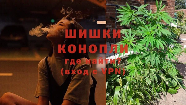 apvp Няндома