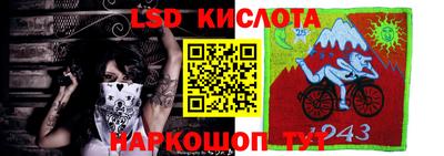 индика Донецк