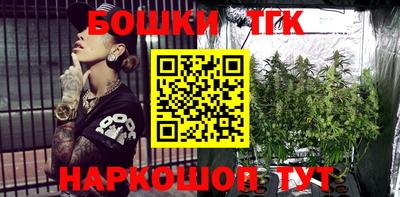 индика Донецк