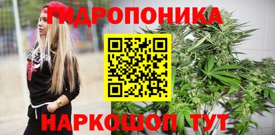 сатива Дубна