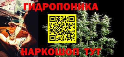 сатива Дубна
