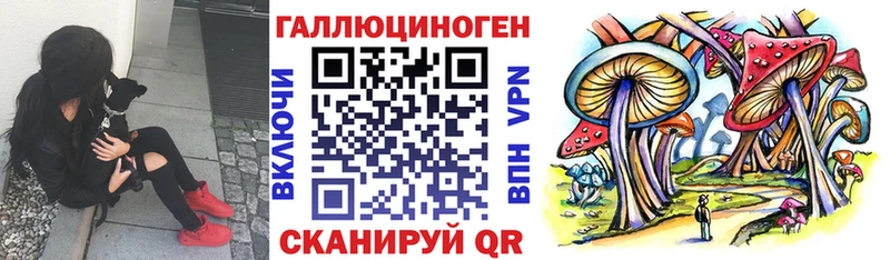 Псилоцибиновые грибы MAGIC MUSHROOMS  Свободный 